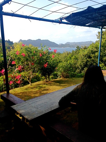 View from Forest Cafe